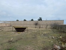 Suvelan  Gulculuk savxozunda torpaq almaq, -2
