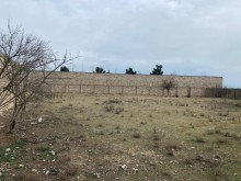Suvelan  Gulculuk savxozunda torpaq almaq, -4