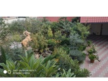 Bineqedi Heyder Mescidinin etrafında villa ev satılır, -3