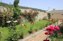 Qusar şəhəri Şahdağa gedən yolda ev almaq, -7