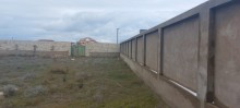 Torpaq almaq, Bakı, Şüvəlan q., -5