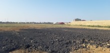 Zabratda meronun yani 7hektar torpaq, -5