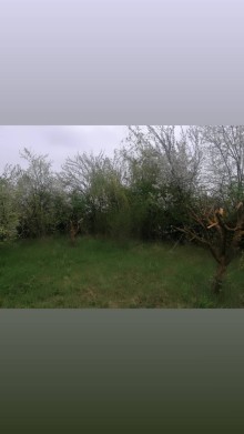 Qusarda torpaq almaq, -1