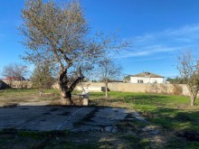 Şaganda Eliller Pansionati yaxinliginda Torpaq, -2