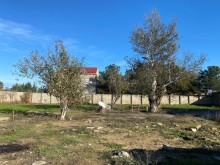 Şaganda Eliller Pansionati yaxinliginda Torpaq, -4