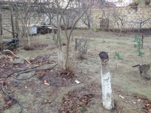 Razin Aşıq Pəri küçəsi Asan ximdətin yaxınlığı Həyət evi, -11