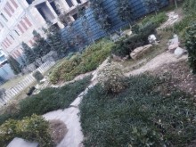 Sea Breezedə yerləşən Villa ev satilir, -8