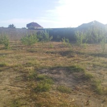 Sumqayıt Mal bazarının yaxınlığı Torpaq, -1
