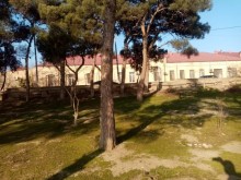 Viola gül salonun yaxınlığı Torpaq, -3