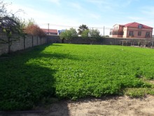 Bakıxanov qəsəbəsi Kulturkada Torpaq, -2
