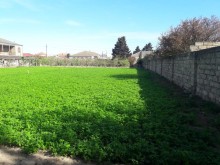 Bakıxanov qəsəbəsi Kulturkada Torpaq, -3