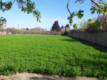 Bakıxanov qəsəbəsi Kulturkada Torpaq, -4