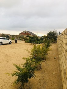 Nardaran qəsəbəsində Lahıc bağlarında Torpaq, -9