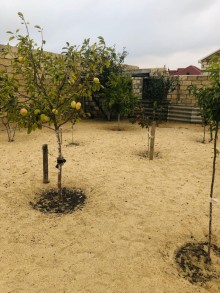 Nardaran qəsəbəsində Lahıc bağlarında Torpaq, -13