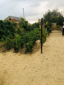 Nardaran qəsəbəsində Lahıc bağlarında Torpaq, -18