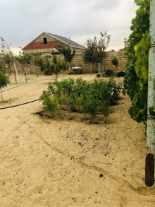 Nardaran qəsəbəsində Lahıc bağlarında Torpaq, -19