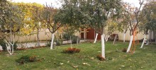 Badamdar qesebesi,3-cü massiv erazisi heyet evi, -6