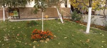 Badamdar qesebesi,3-cü massiv erazisi heyet evi, -7