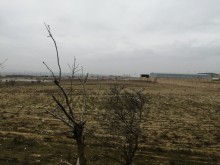 Mehemmedi kendi su anbarin yani Torpaq, -2