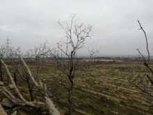 Mehemmedi kendi su anbarin yani Torpaq, -4