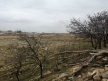 Mehemmedi kendi su anbarin yani Torpaq, -6