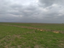 Kurdemir rayonunda torpaq satilir, -1