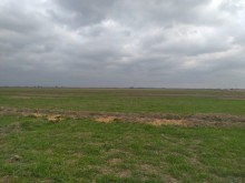 Kurdemir rayonunda torpaq satilir, -3