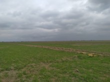 Kurdemir rayonunda torpaq satilir, -4