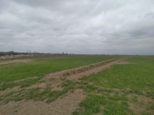 Kurdemir rayonunda torpaq satilir, -5