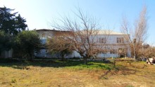 25 sotda bağ novxanida kupçali dəniz panoraması, -3