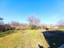 25 sotda bağ novxanida kupçali dəniz panoraması, -6