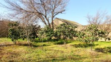 25 sotda bağ novxanida kupçali dəniz panoraması, -18