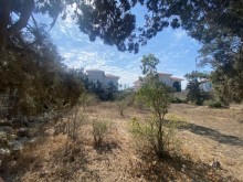 Shuvalan Villas yasayis kompleksi terefde Torpaq, -7