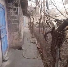 Doğum evinin yaxınlığı Torpaq, -5