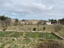 Merdekan qesebesinde Torpaq, -11