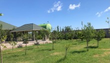 albali (viwnovka)da bag evi, -18