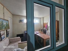Hundur ambar satilir Novxani, -10