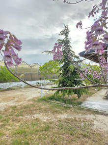 satilir-obyekt-baki-xezer-turkan-6-1735328531