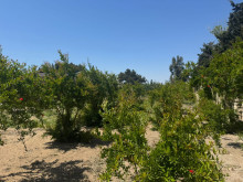 Satılır Torpaq suvelan, Xəzər.r, Şüvəlan-4