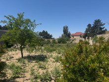 Satılır Torpaq suvelan, Xəzər.r, Şüvəlan-7