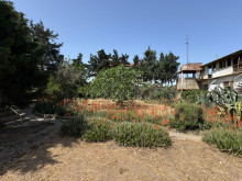 Satılır Torpaq suvelan, -3