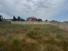 suvelan Satılır Torpaq, -8