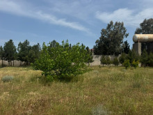 Satılır Torpaq suvelan, -12