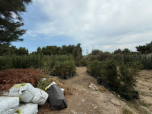 Satılır Torpaq buzovna, Xəzər.r, Buzovna-3