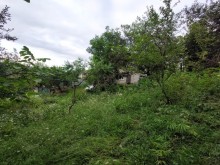 Quba Qəçreş kəndi məktəbin yaxınlığı Satılır Torpaq, -4