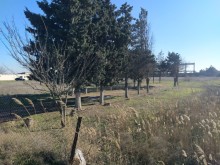 Satılır Torpaq, Suraxanı.r, Suraxanı-2