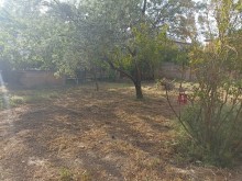 Satılır Torpaq, Səbail.r, Badamdar-10