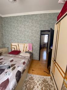 Badamdar Satılır Həyət evi, -7