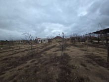 Qalada magistral yoldan 1 km aralıda 12 sot torpaq satılır, -2