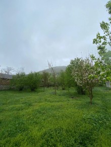Satılır Torpaq Qəbələdə, Vəndam, -1